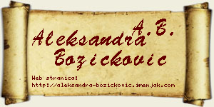 Aleksandra Božičković vizit kartica